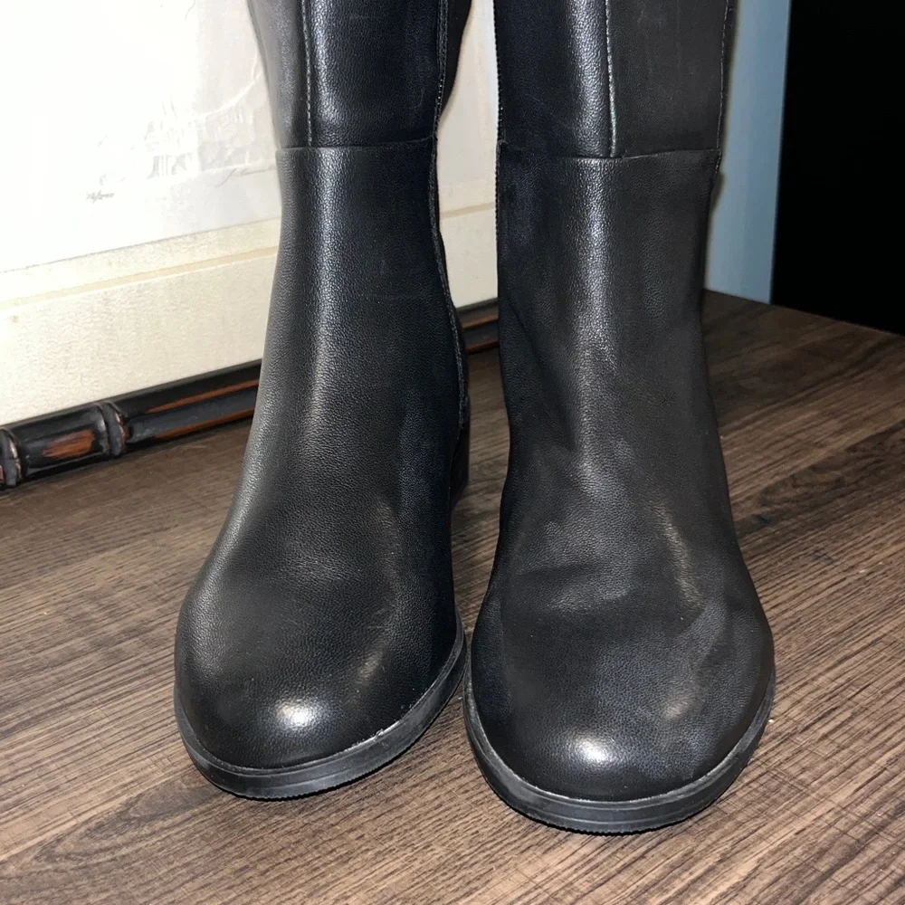 Alfani women black